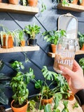 Plant Mama Cup